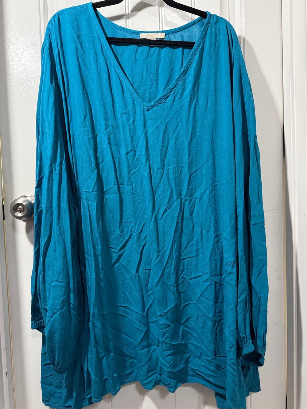 Woman Within Teal V-Neck Long Sleeve Tunic